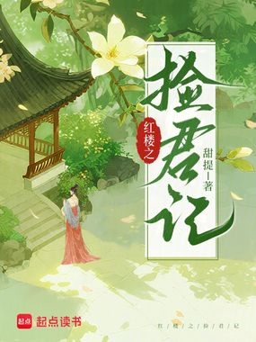 红楼之捡君记在线阅读