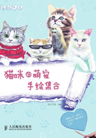 爱绘生活:猫咪的萌宠手绘集合在线阅读