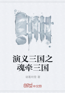演義三國之魂牽三國