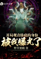 开局观音卧底的身份被我曝光了在线阅读