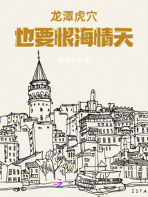 龍潭虎穴也要恨海情天