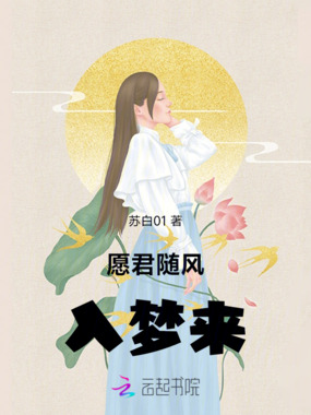 愿君随风入梦来在线阅读