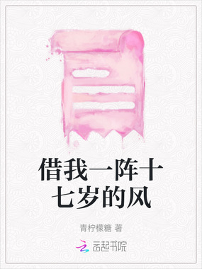 借我一阵十七岁的风在线阅读