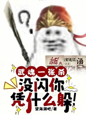 武魂一张杀，没闪你凭什么躲！在线阅读
