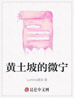 黄土坡的微宁在线阅读