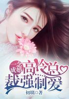 一念成婚:高冷总裁强制爱