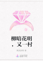 柳暗花明，又一村在線閱讀