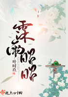 霂雨昭昭在線閱讀