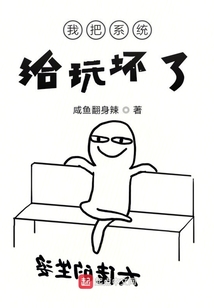 我把系統給玩壞了