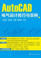 AutoCAD电气设计技巧与实例