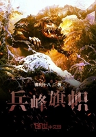 兵峰旗帜在线阅读