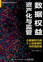 数据权益资产化与监管：大数据时代的个人信息保护与价值实现在线阅读