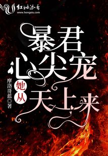 暴君心尖寵她從天上來