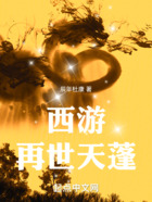西游:再世天蓬在线阅读