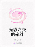 光影之交的牵绊在线阅读