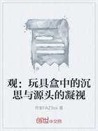 观:玩具盒中的沉思与源头的凝视在线阅读
