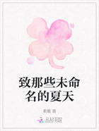 致那些未命名的夏天在线阅读