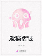 遗稿褶皱在线阅读
