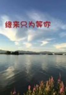 緣來只為等你
