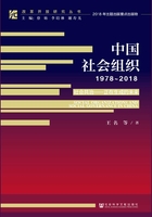 中国社会组织（1978～2018）·社会共治：正在生成的未来在线阅读