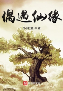 偶遇仙緣