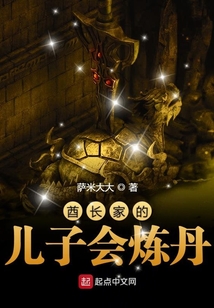 酋长家的儿子会炼丹