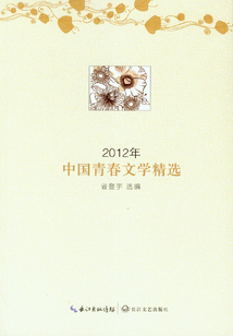 2012年中国青春文学精选