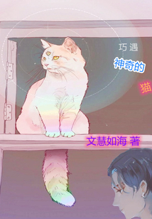 巧遇神奇的貓