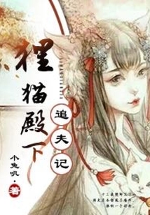 貍貓殿下追夫記