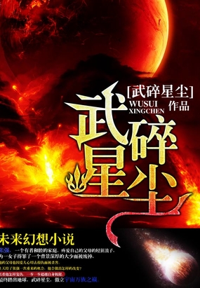 武碎星尘在线阅读