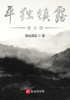 平獨鎮露我大明在線閱讀