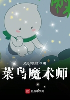 菜鳥魔術師在線閱讀