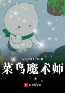 菜鳥魔術(shù)師
