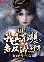 红楼：我真不想当反派啊！在线阅读