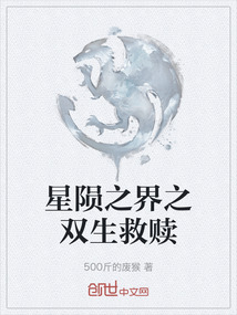 星隕之界之雙生救贖