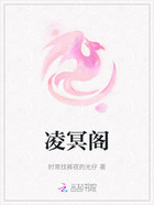 凌冥阁在线阅读
