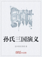 孙氏三国演义在线阅读