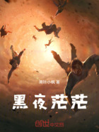 黑夜茫茫在线阅读