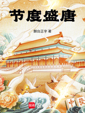 节度盛唐在线阅读