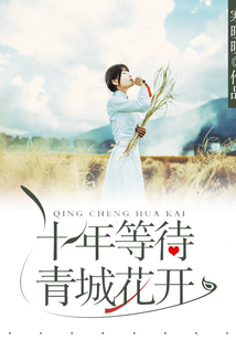 十年等待青城花開