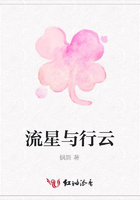 流星與行云在線閱讀
