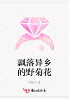 飄落異鄉(xiāng)的野菊花在線閱讀