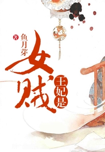 王妃是女賊