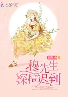 穆先生深情迟到在线阅读