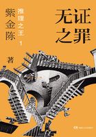 无证之罪(秦昊、邓家佳主演)
