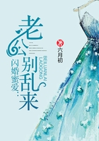 闪婚蜜爱：老公别乱来在线阅读