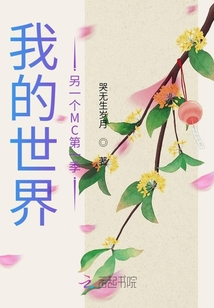 我的世界：另一个MC第一季