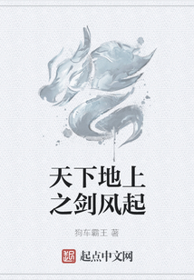 天下地上之劍風起