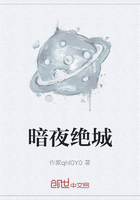 暗夜绝城在线阅读