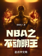 NBA之不动明王在线阅读